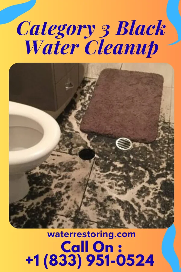 Category 3 Black Water Cleanup in Boulder City, NV